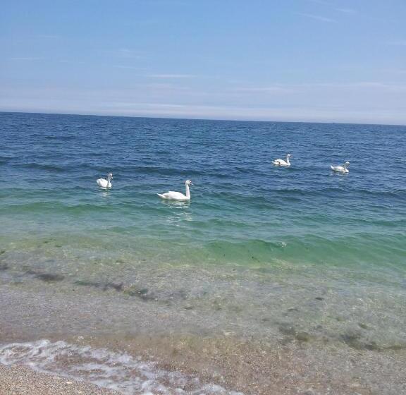 בית מלון כפרי La John