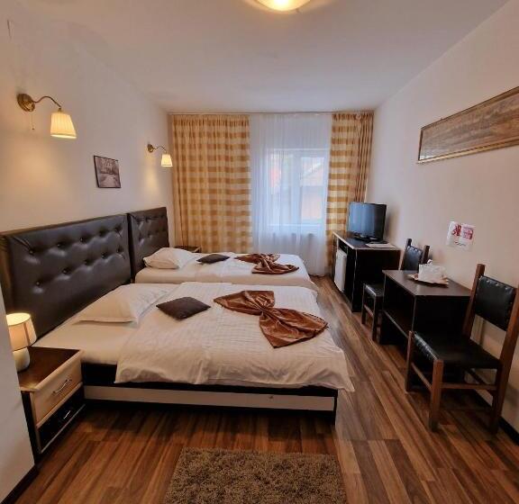 בית מלון כפרי Marasesti