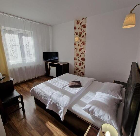 בית מלון כפרי Marasesti