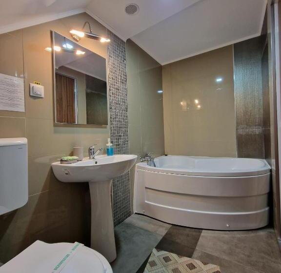 בית מלון כפרי Marasesti