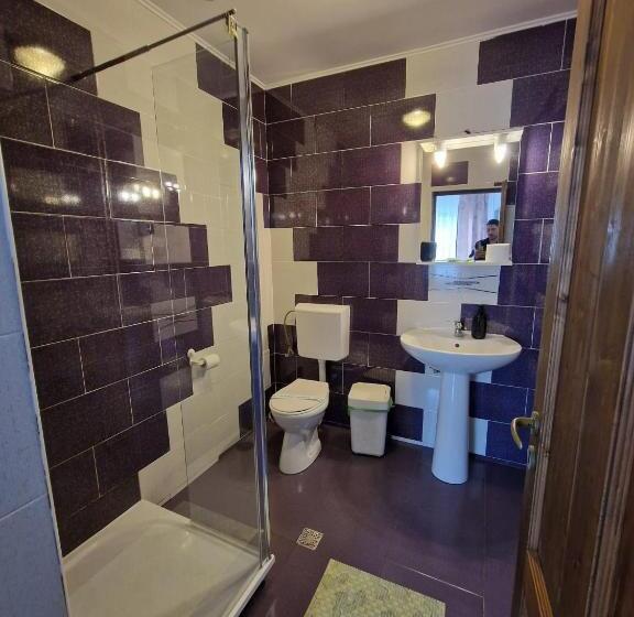 בית מלון כפרי Marasesti