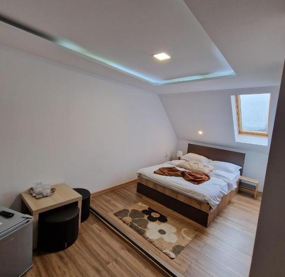 בית מלון כפרי Marasesti