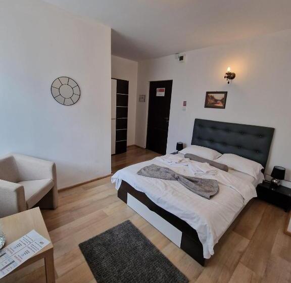 בית מלון כפרי Marasesti