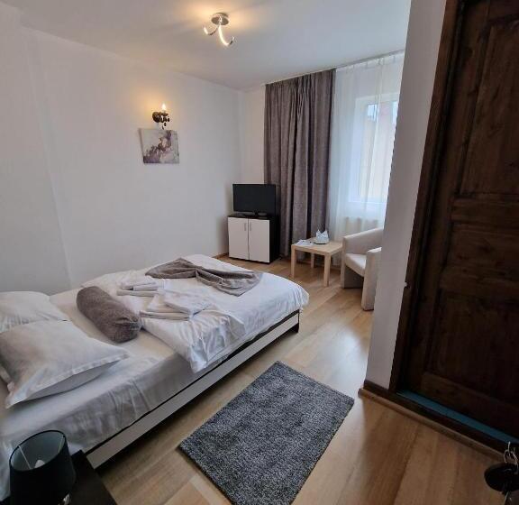 בית מלון כפרי Marasesti