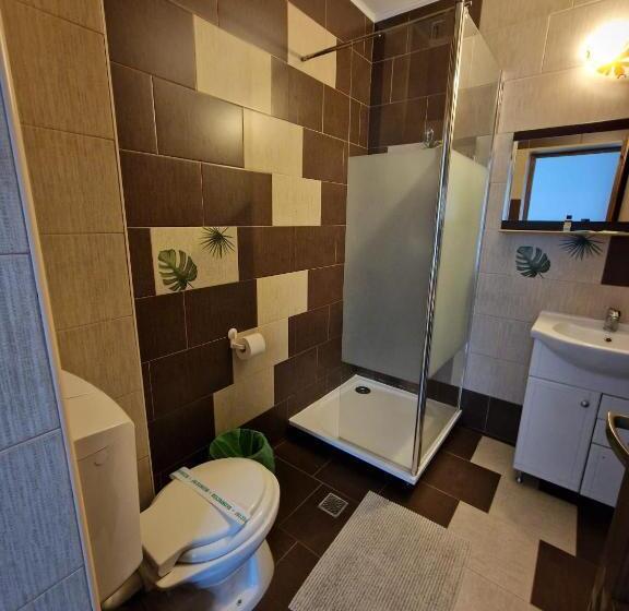 בית מלון כפרי Marasesti