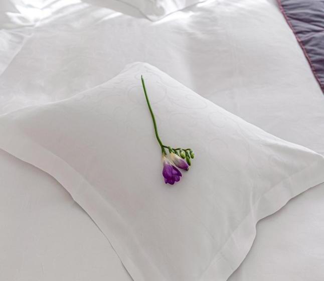 Hotel Miruna   New Belvedere