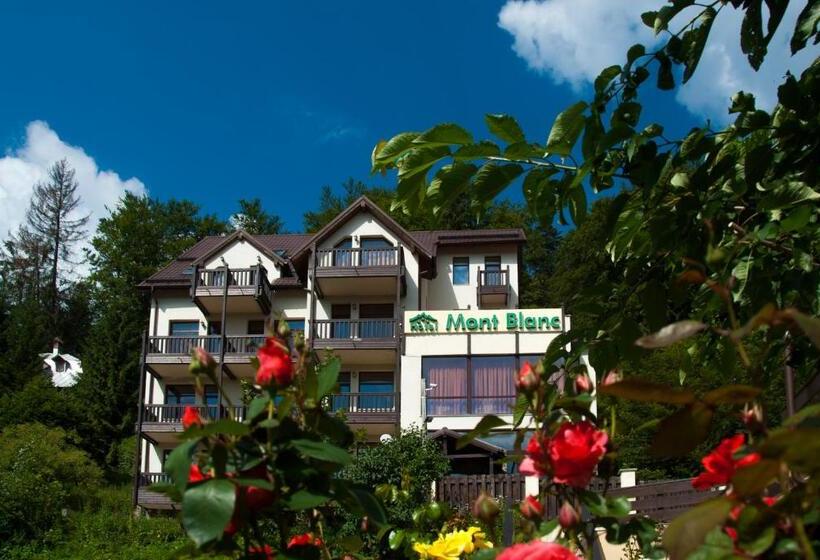 ホテル Mont Blanc
