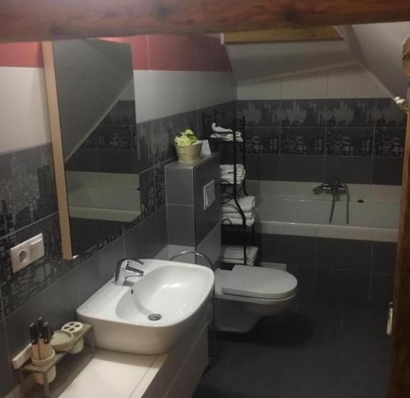 ホテル Palatul Brukenthal Avrig