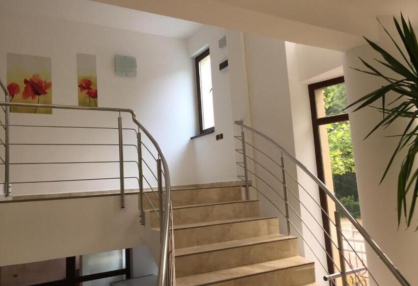 酒店 Paradox Oituz