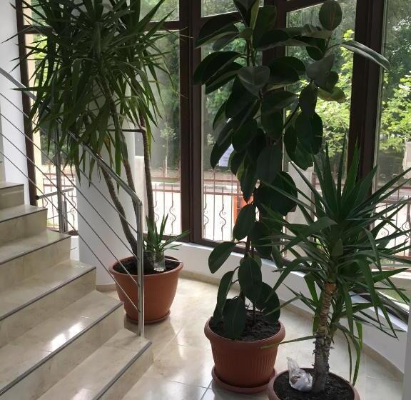 酒店 Paradox Oituz