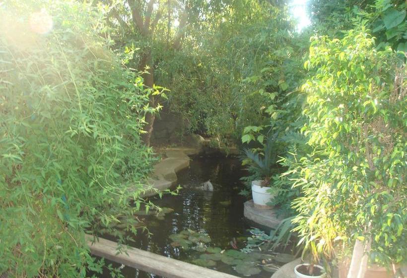 בית מלון כפרי Pension Eclipse