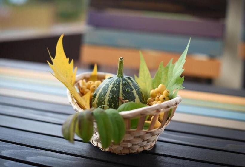 호텔 Pension Panorama