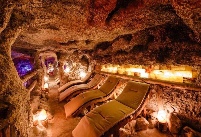 בית מלון כפרי Pensiunea Casa Zanelor