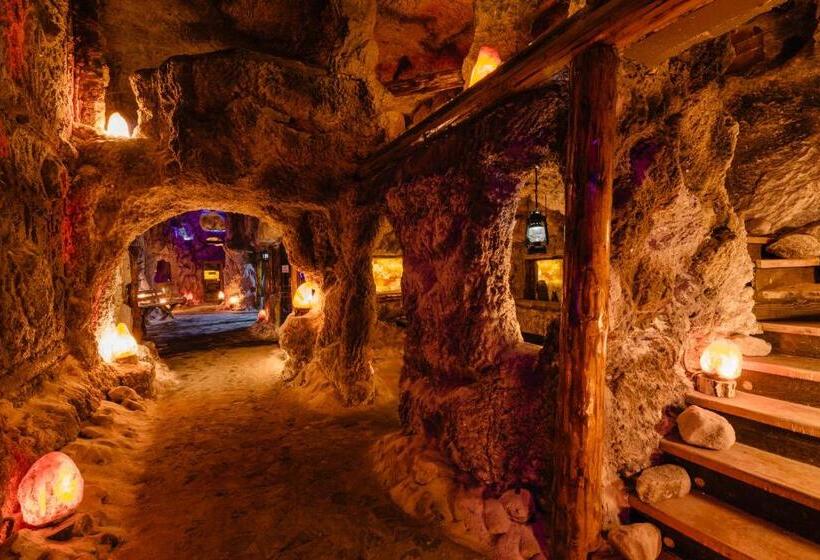 فندق Pensiunea Casa Zanelor