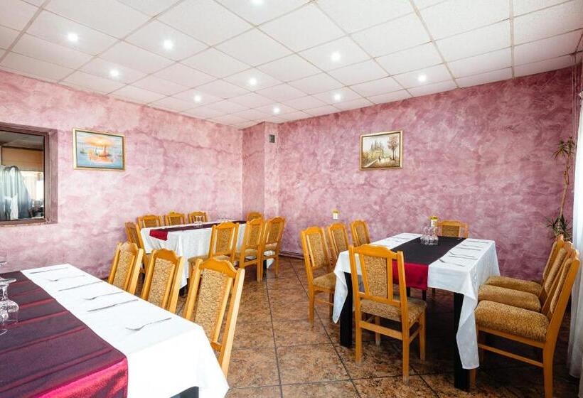 בית מלון כפרי Pensiunea Casa Zanelor