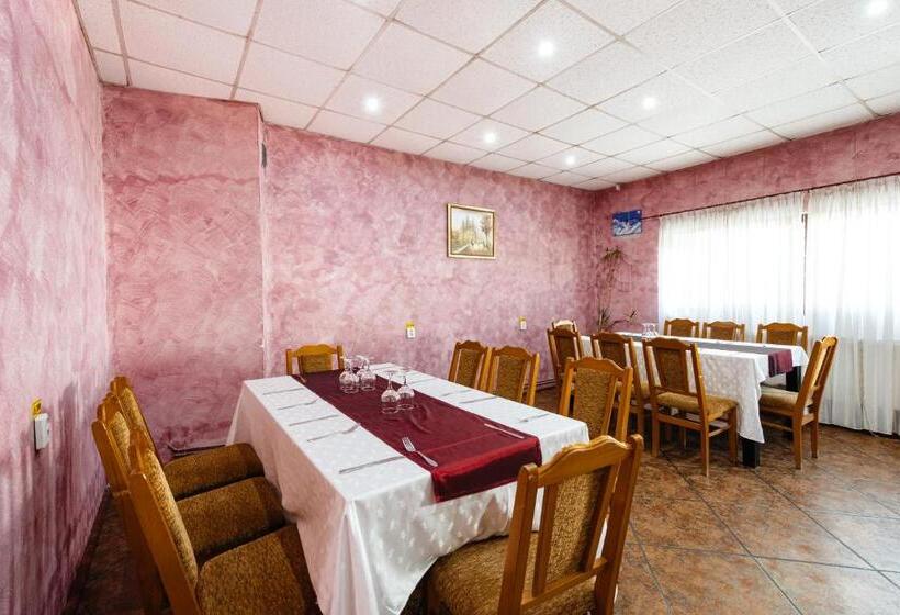 בית מלון כפרי Pensiunea Casa Zanelor