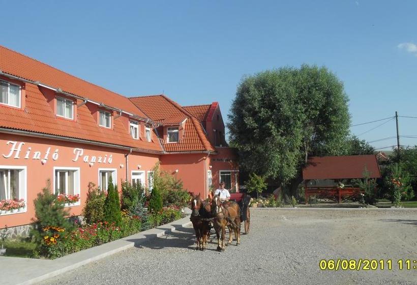 בית מלון כפרי Pensiunea Trasura   Hinto Panzio