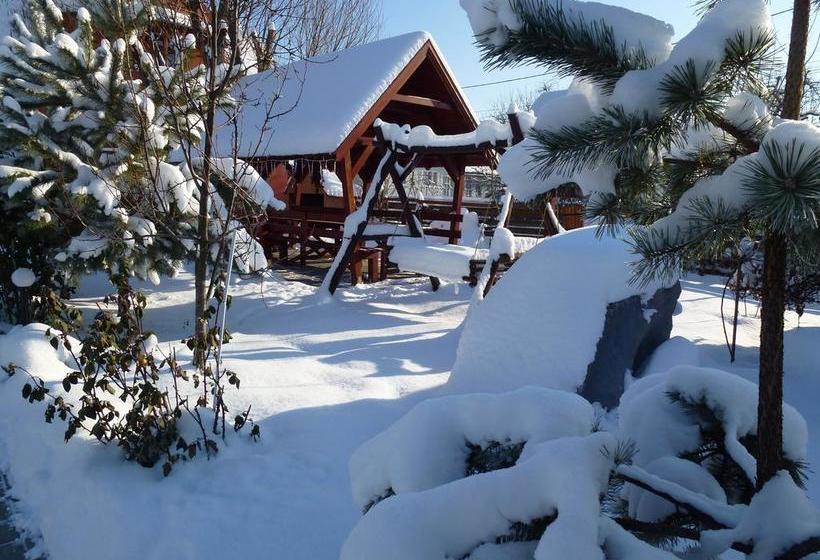 בית מלון כפרי Pensiunea Trasura   Hinto Panzio