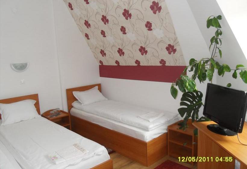 בית מלון כפרי Pensiunea Trasura   Hinto Panzio