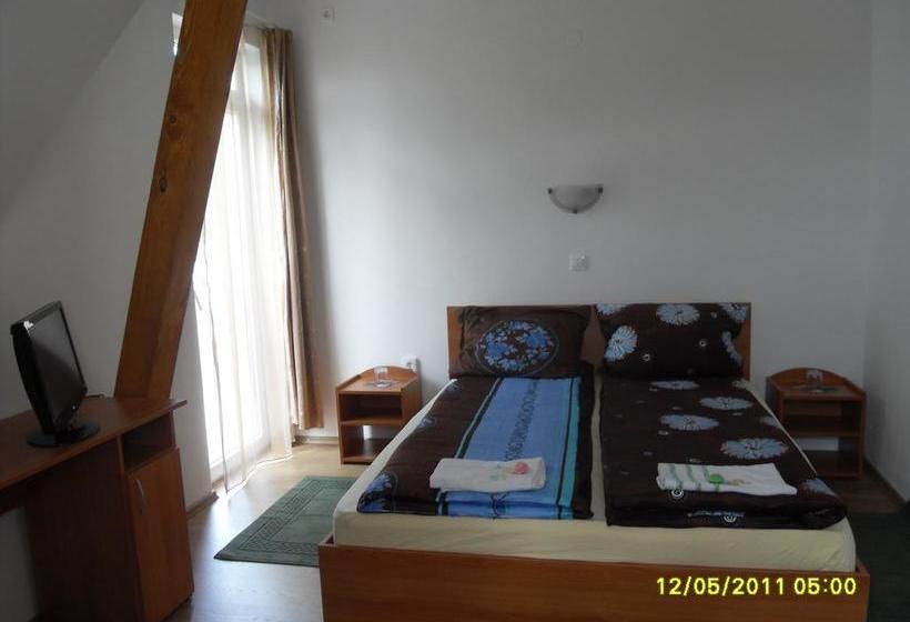 בית מלון כפרי Pensiunea Trasura   Hinto Panzio