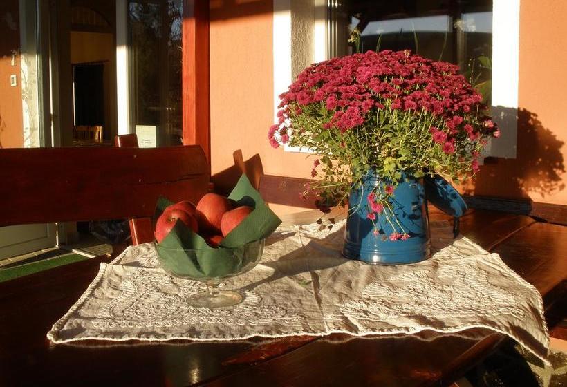 בית מלון כפרי Pensiunea Trasura   Hinto Panzio