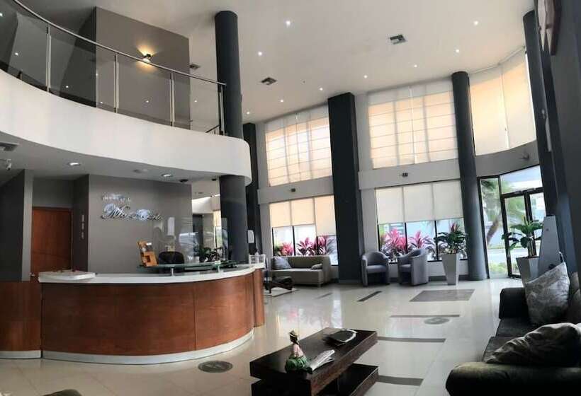 酒店 Plaza Monte Carlo