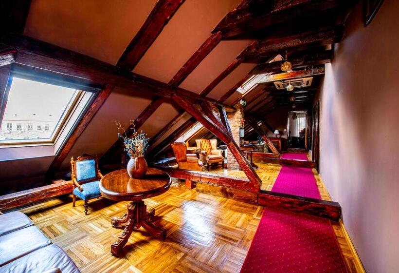 فندق Poesis Satu Mare