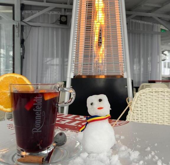 Отель Premier Botosani