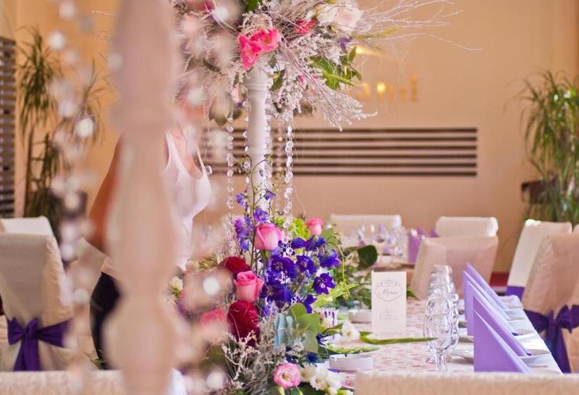 Отель Premier Botosani