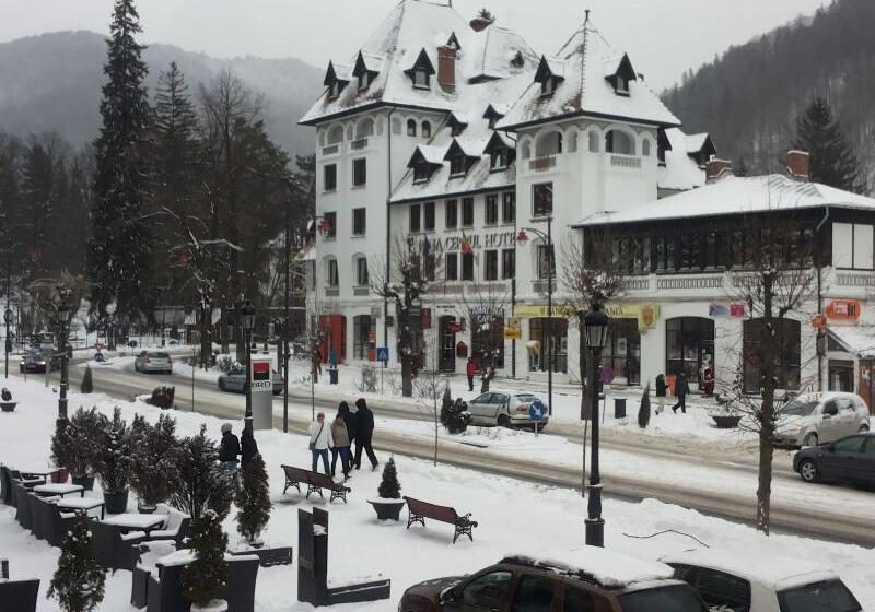 ホテル Rina Cerbul