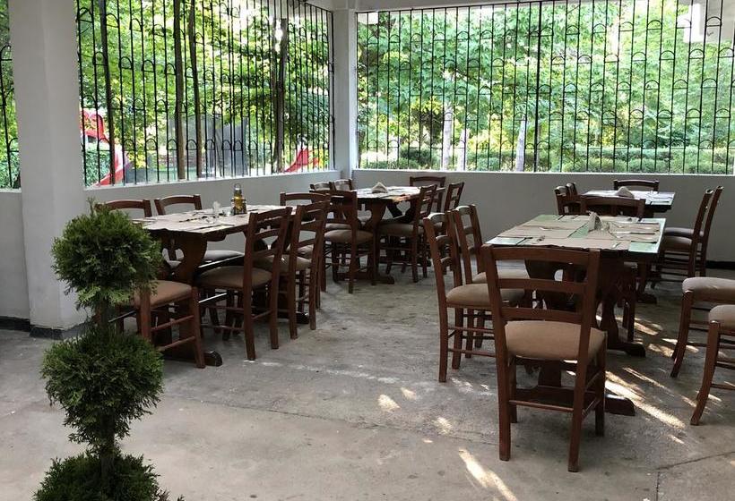 Отель Semiramis