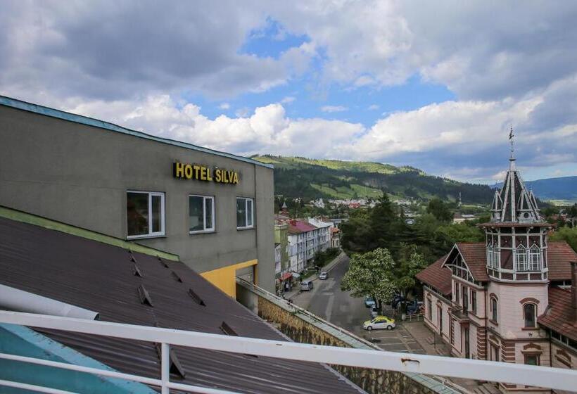 Отель Silva
