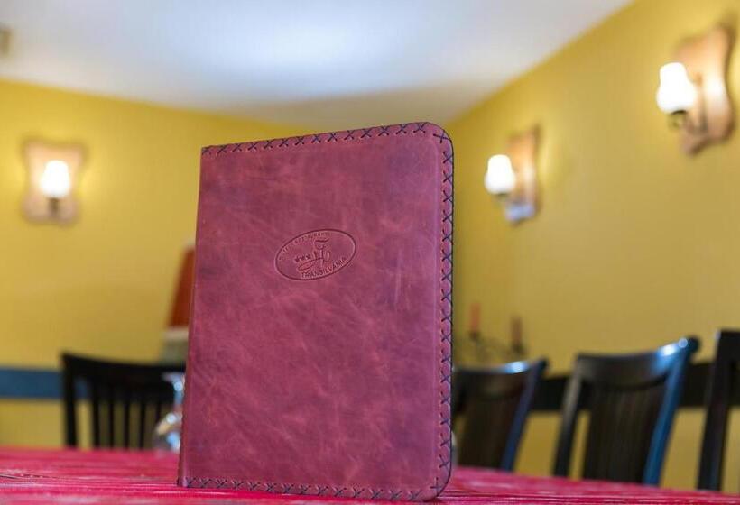 בית מלון כפרי Transilvania