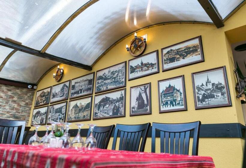 בית מלון כפרי Transilvania