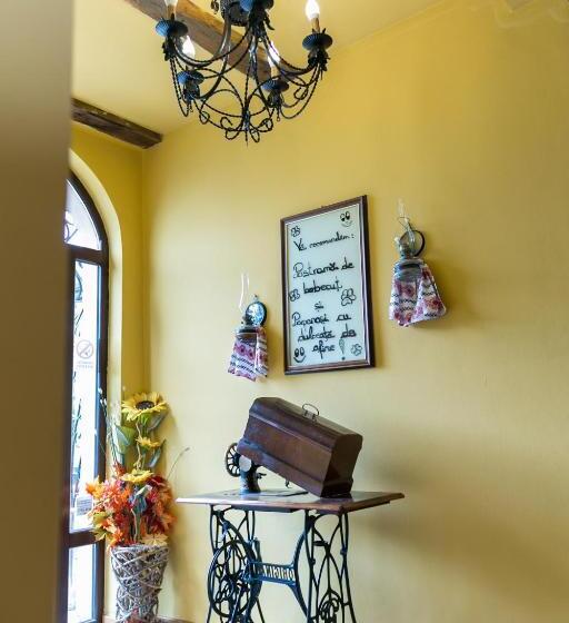 בית מלון כפרי Transilvania