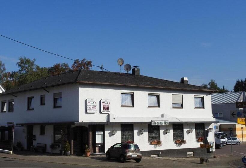 Отель Triebener Hof