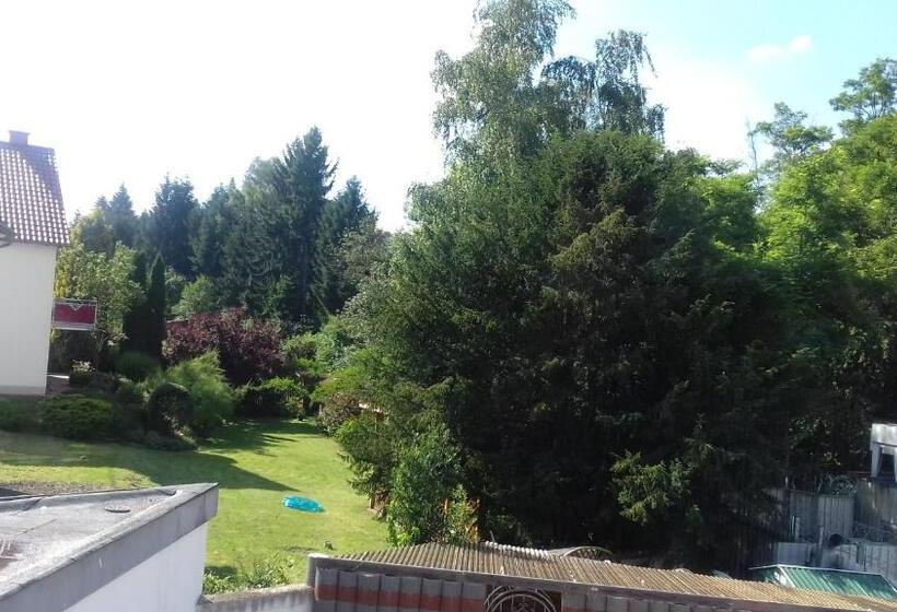 Отель Triebener Hof