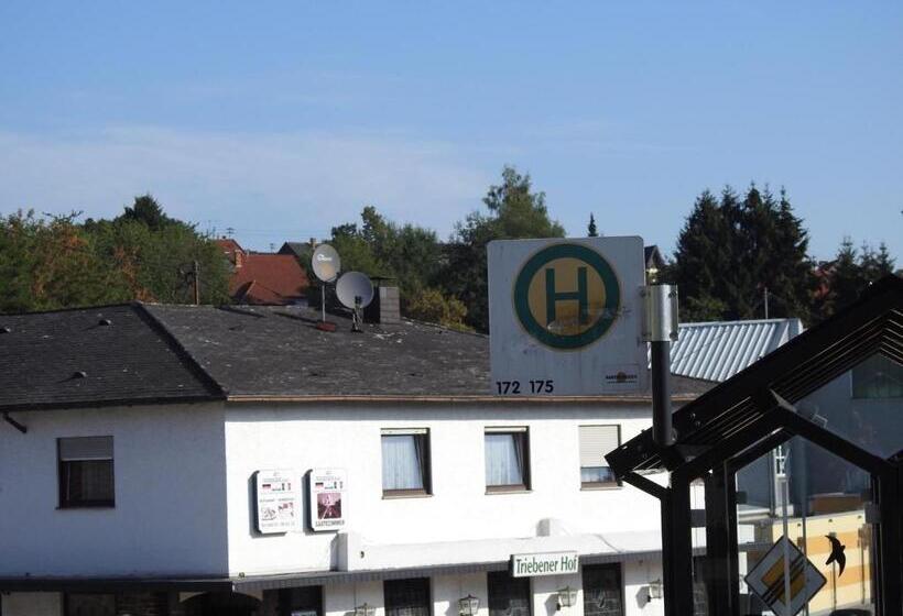 Отель Triebener Hof