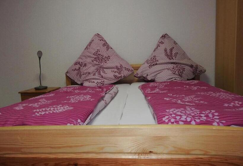 Отель Triebener Hof