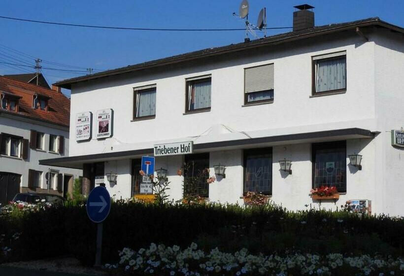 Отель Triebener Hof