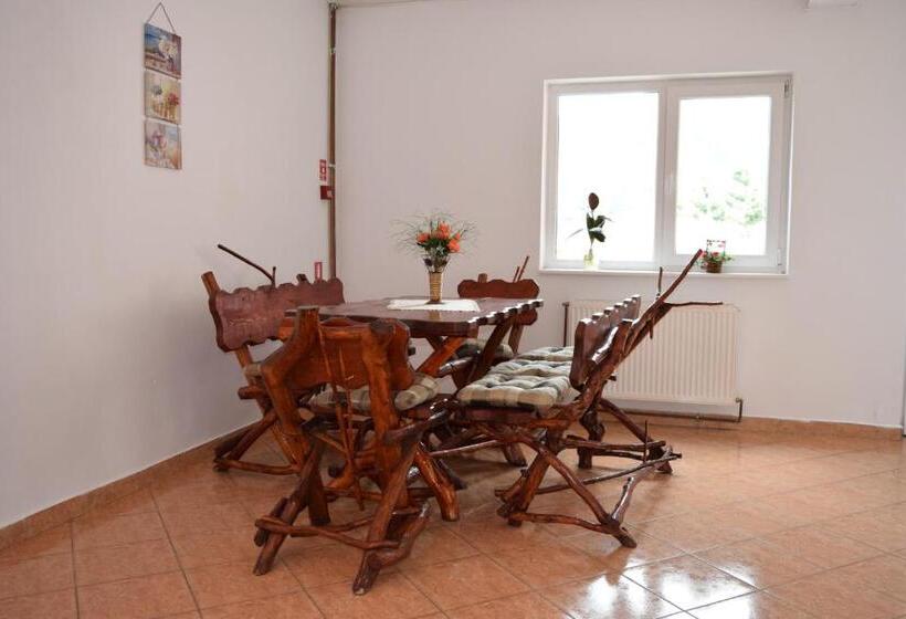 فندق Pensiunea Bujor De Munte