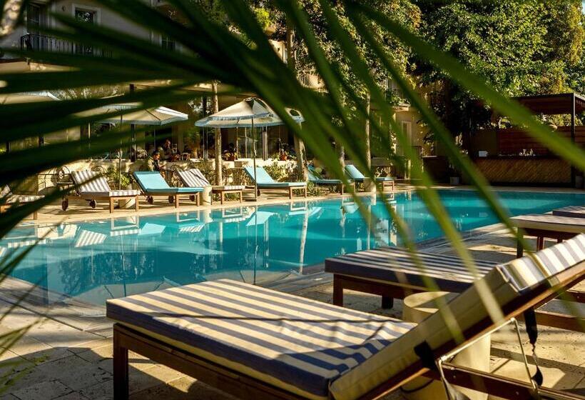 בית מלון כפרי Victoria