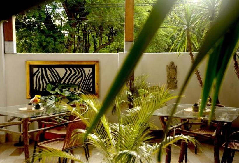 Mango Verde Bed & Breakfast