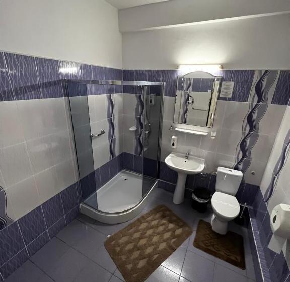 Мотель Pensiunea Old Sheriff