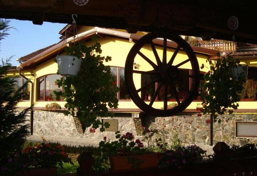 Motel Perla Sigheteana