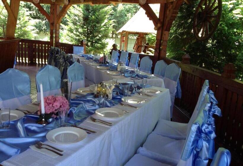 Motel Perla Sigheteana