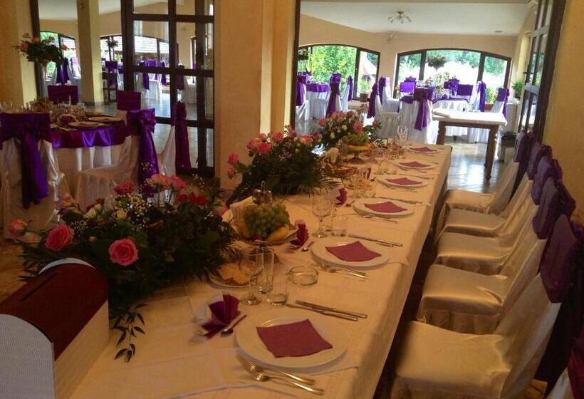 Motel Perla Sigheteana