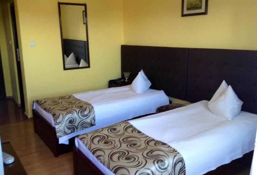 Motel Perla Sigheteana