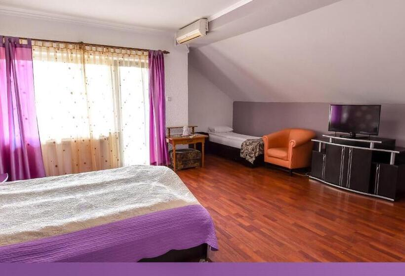 Motel Perla Sigheteana