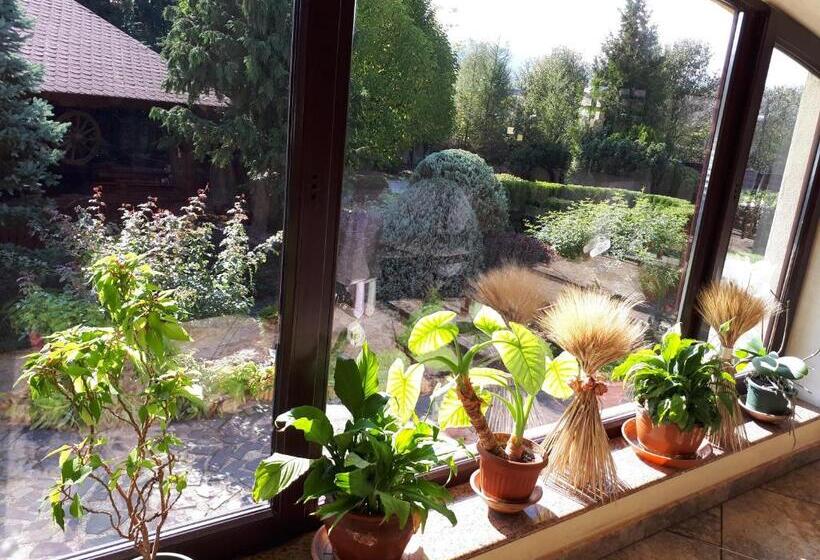 Motel Perla Sigheteana